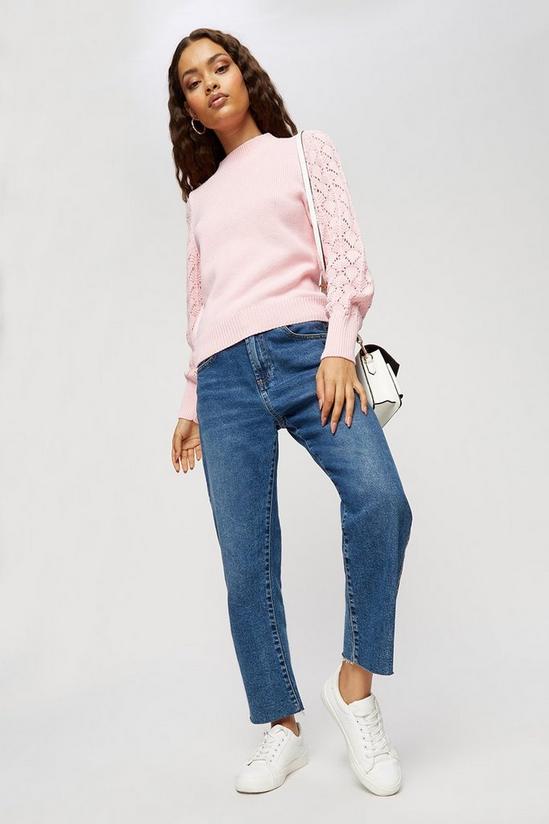Jumpers & Cardigans | Petite Pink Textured Sleeve Knit Jumper 